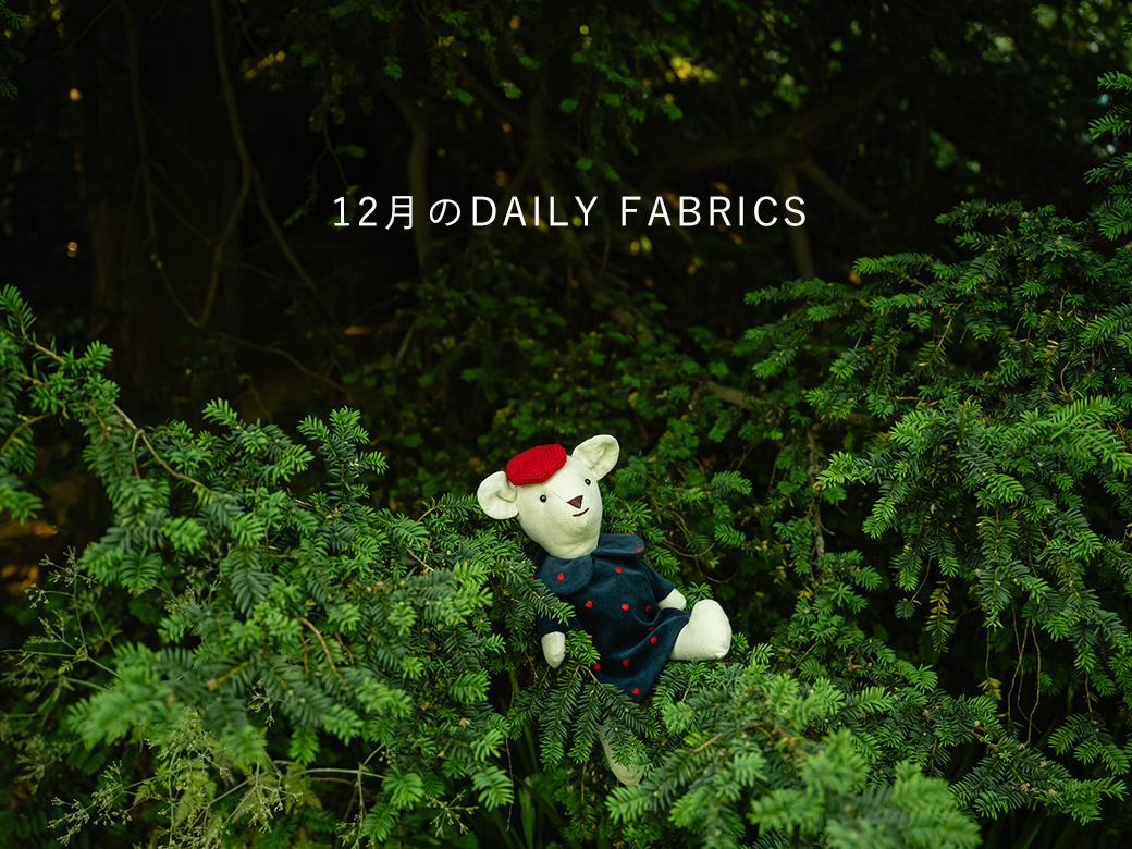 2024年12月のDAILY FABRICS