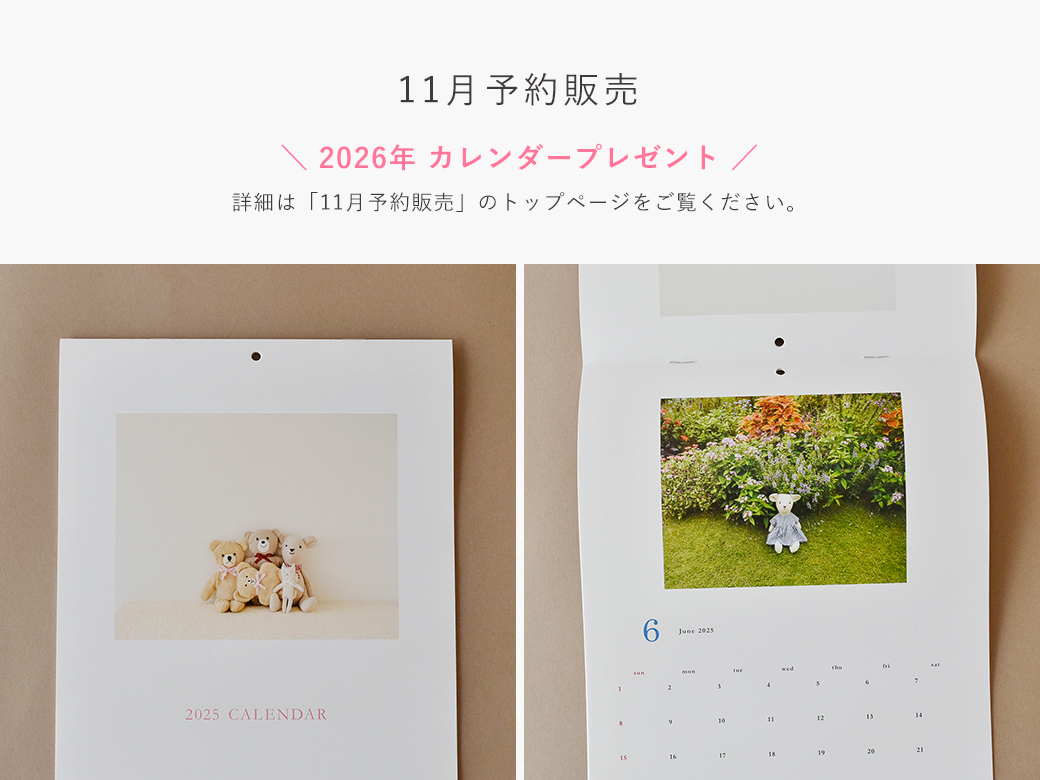 2025年11月予約販売